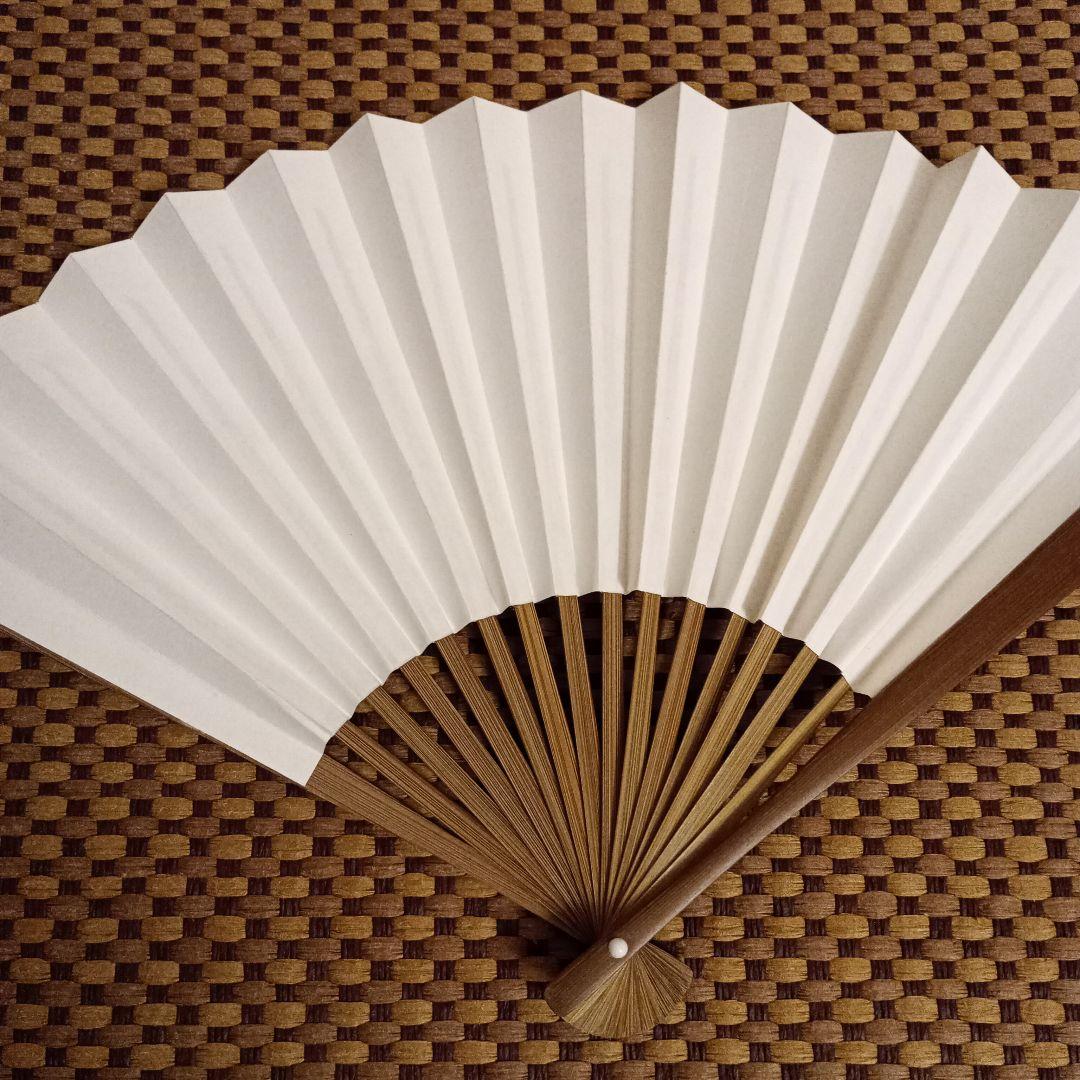 豊島将之九段 名人竜王位 扇子2点セット