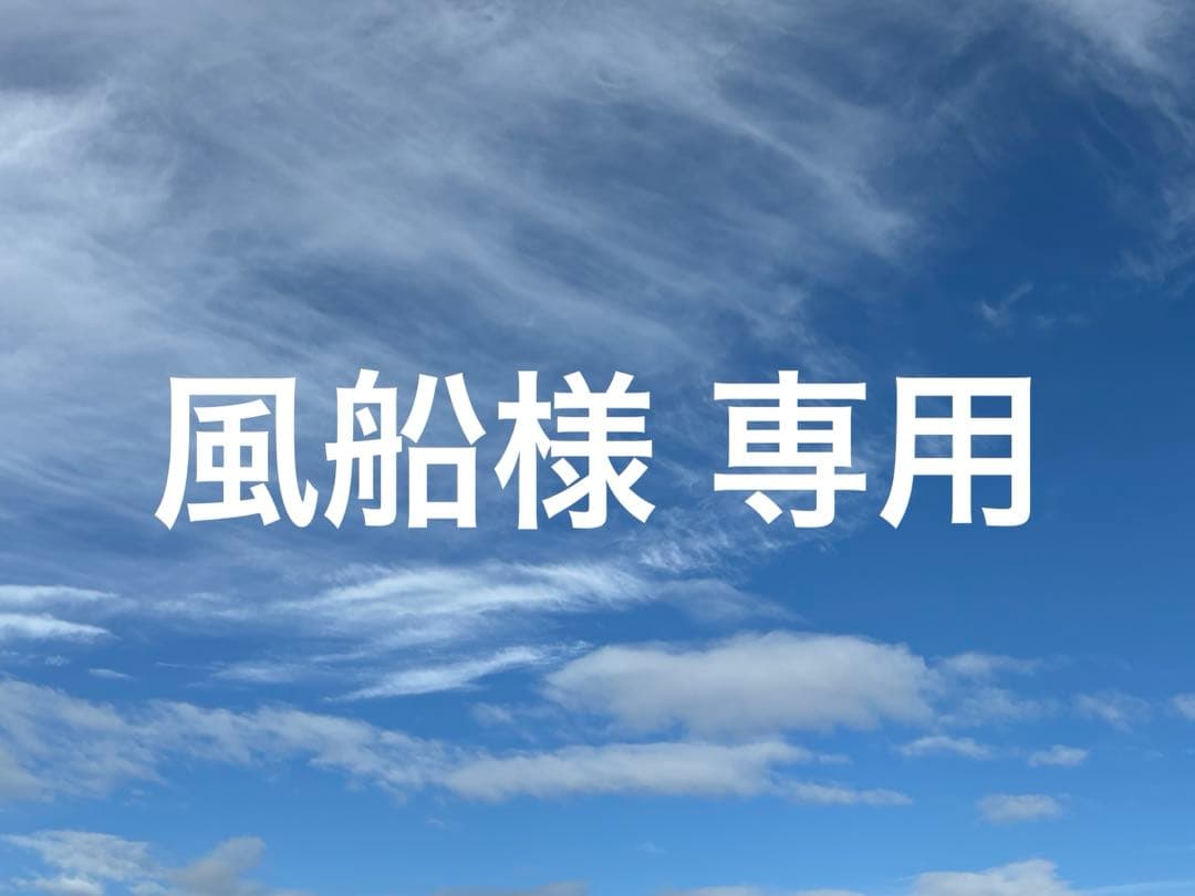 ルイヴィトン モノグラム　ポルトカルトレクトヴェルソ　ケース