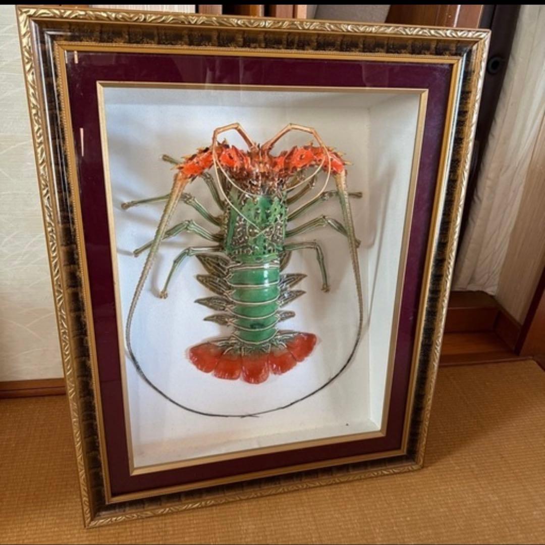 ゴシキエビ 標本 アンティーク