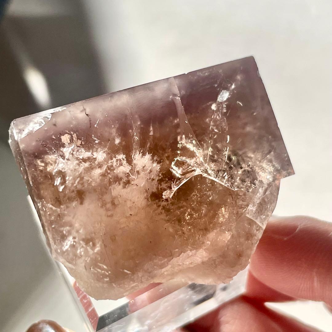 412 イギリス シェリーツインズ フローライト