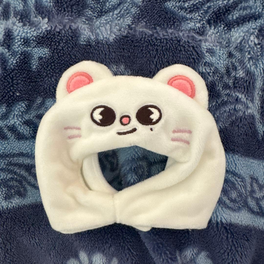 Stray kids ヒョンジン　ジニレット　ペンライトカバー