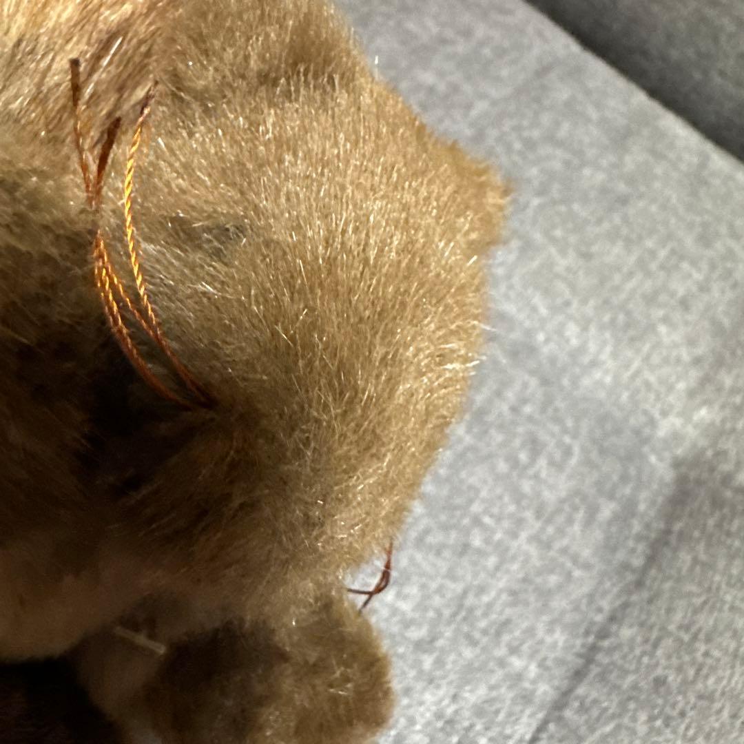 希少　TRADITION sigikid りす　ぬいぐるみ　リス　動物