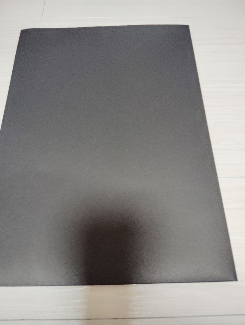 薔薇に彩られた悪意と悲劇の幕開けパンフレット