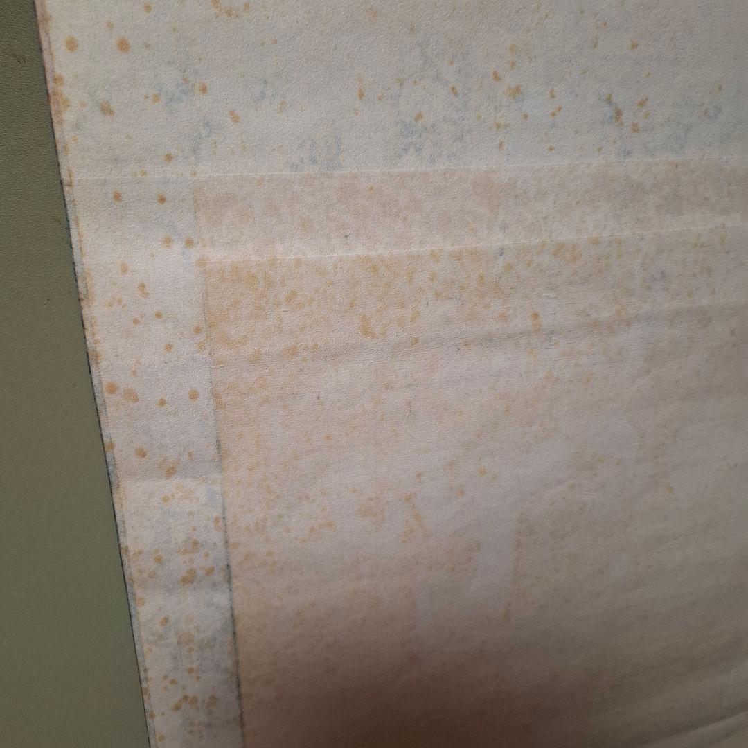 【掛軸】春木南溟「鳥図」共箱付き