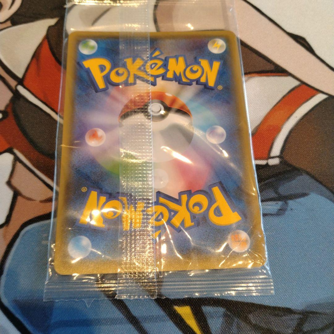 ポンチョを着たイーブイ リーフィア　未開封