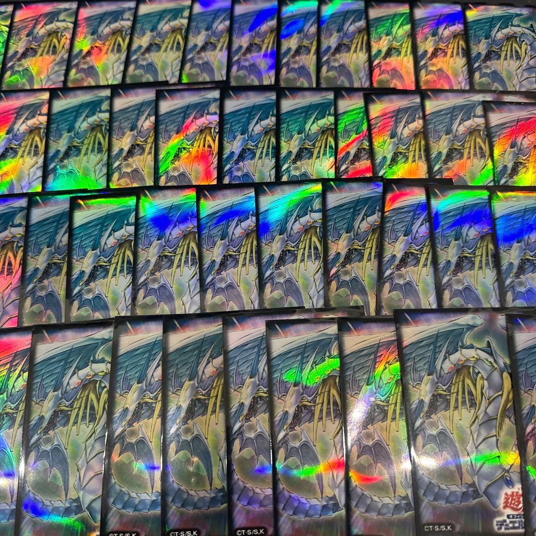 レインボードラゴンスリーブ71枚