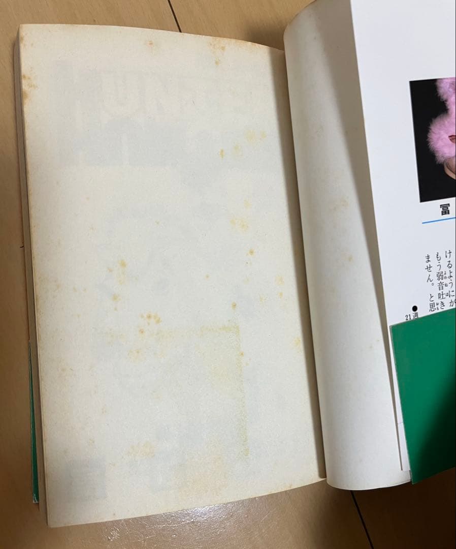 ハンターハンター+レベルE 全巻セット HUNTER×HUNTER 漫画