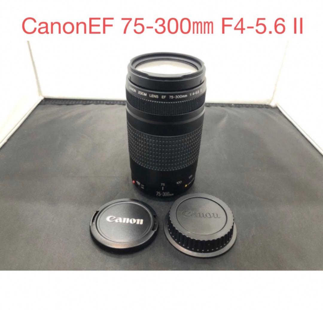動作品☆キャノン☆CANON EF 75-300mm F4-5.6 II
