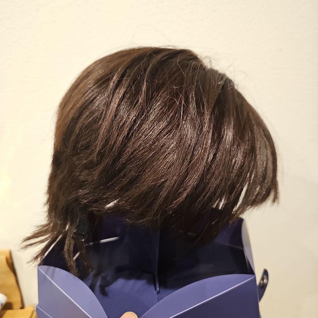 限定値下げ!! 美品!!フォンテーヌ フルウィッグ VR04 R141