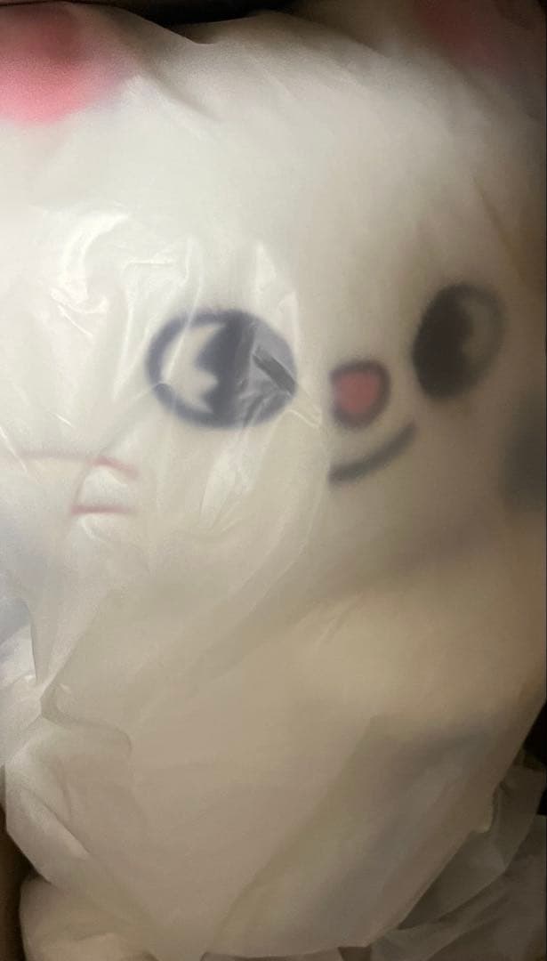 SKZOO PLUSH BAG Jiniret ジニレットStrayKids