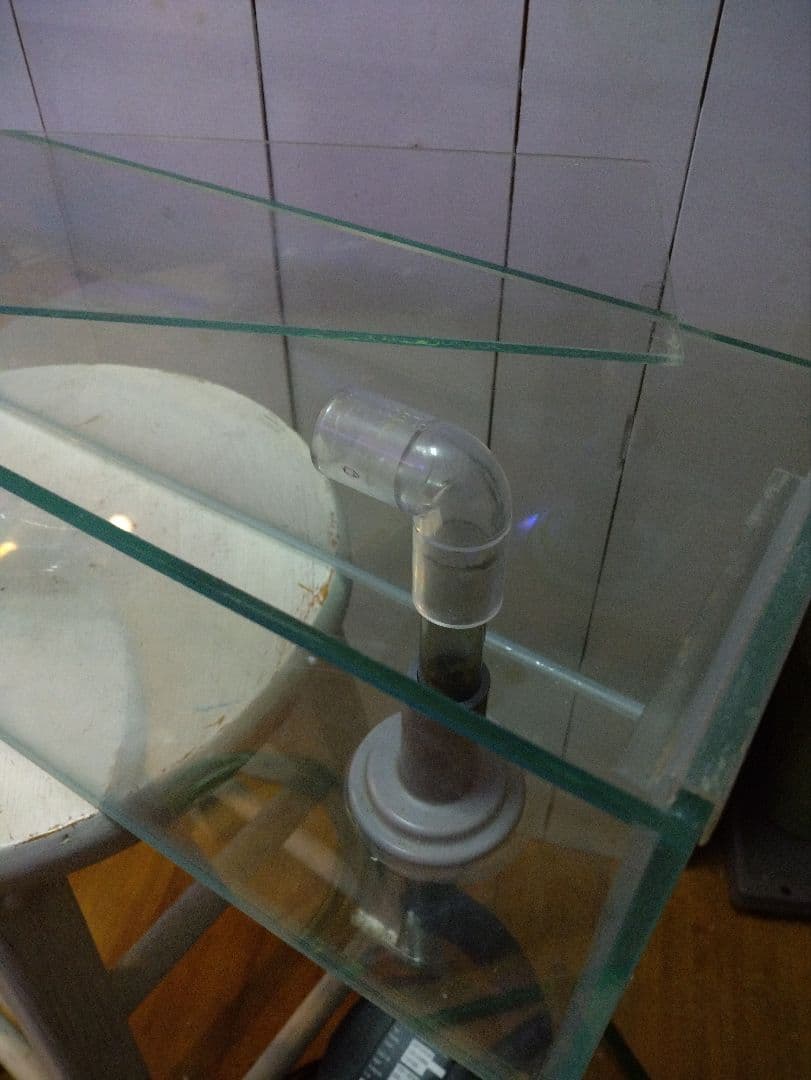 【今週限定値下げ】60センチオーバーフローガラス水槽 とエーハイム2213