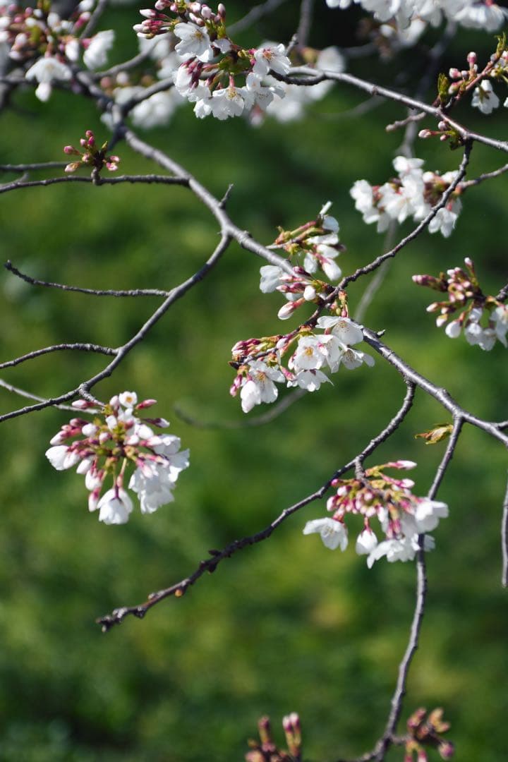 【完動品】SMC PENTAX FA★28-70mm F2.8 AL