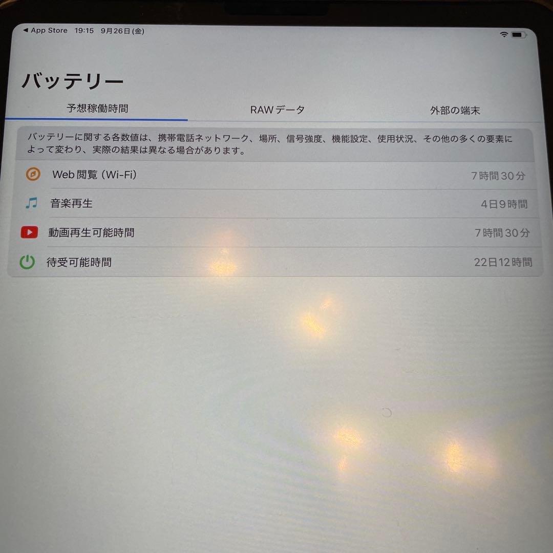 iPad Pro 4世代 512GB