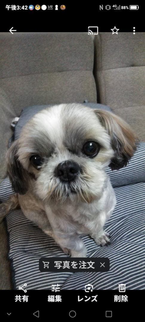 羊毛フェルトのみるくさんご確認用