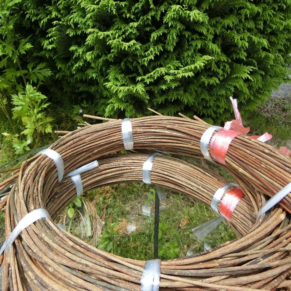 みっくん 青森県岩木山採取　あけび蔓　長 短 各1kg　合計2kg 練習用