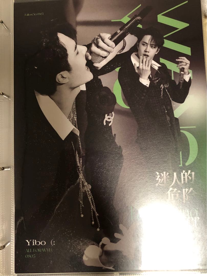 王一博 カードバインダー＋A4・Pカード他リフィル50枚付 アルバム w写真集