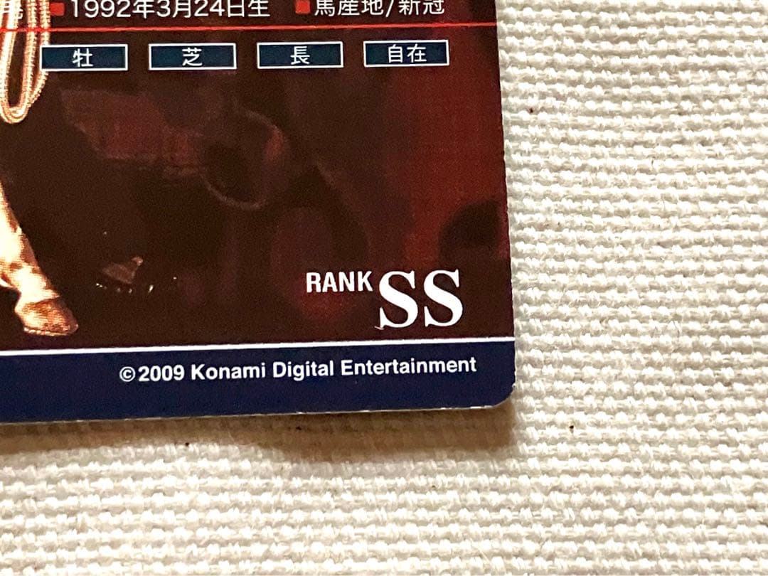 ホースライダーズ　マヤノトップガン