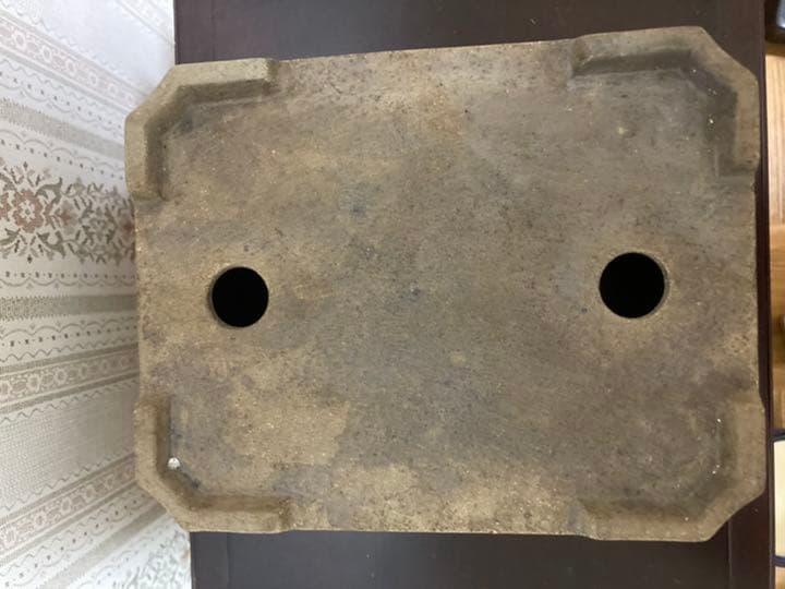 盆栽鉢　2つ　お買い得