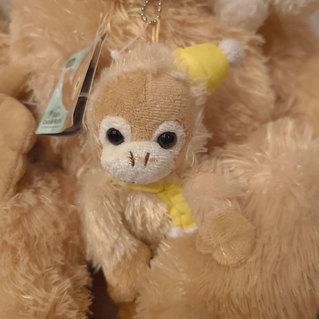 BABY COCO 新品 親子ぬいぐるみセットベイビーココ