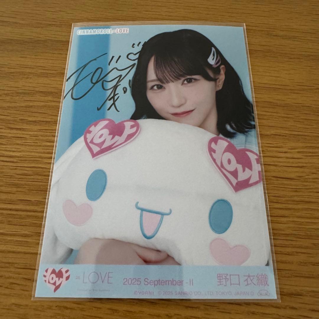 野口衣織 直筆 シナモン 生写真