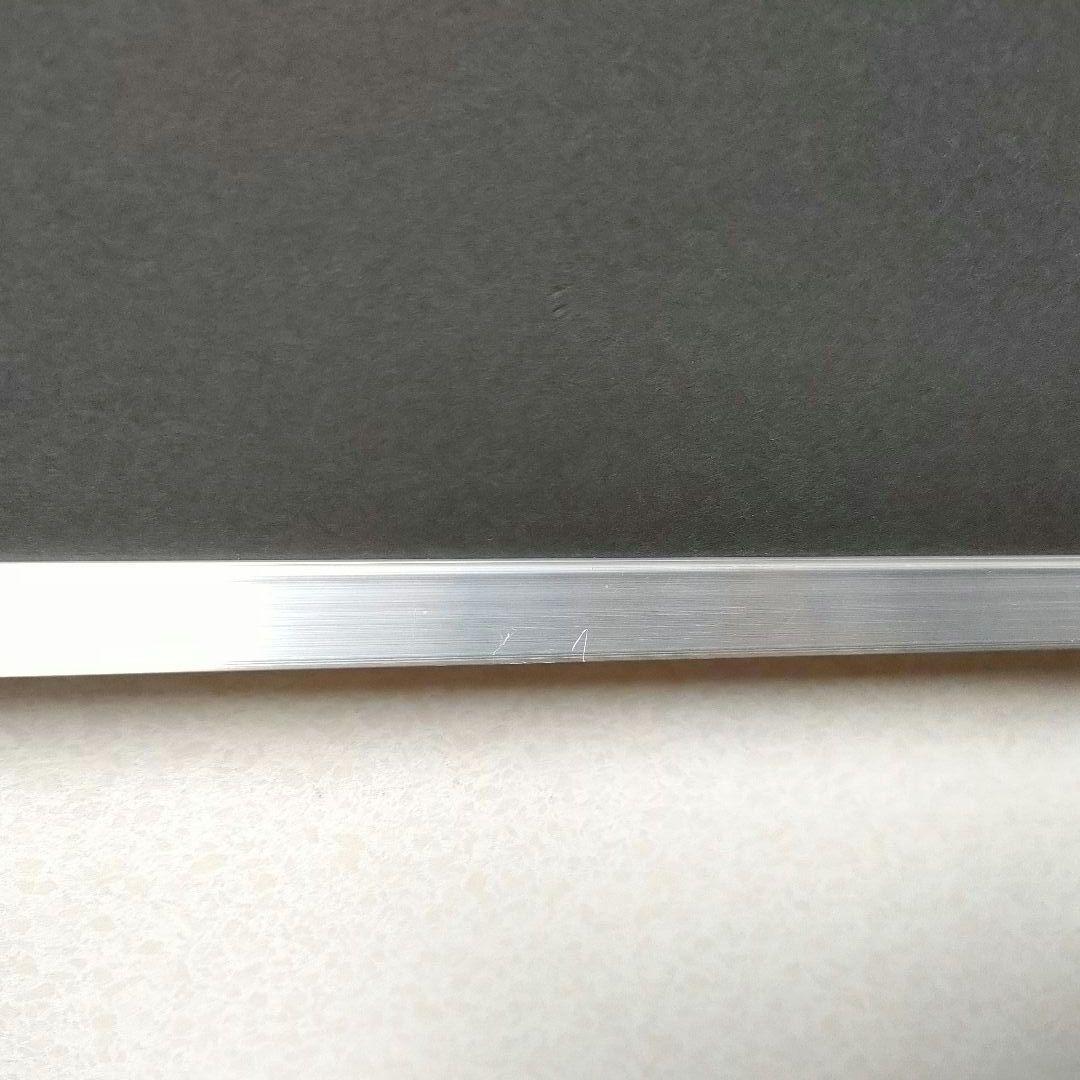 フジカラー アルミ額縁 フォトフレーム A10N 全紙 高級台紙使用 シルバー