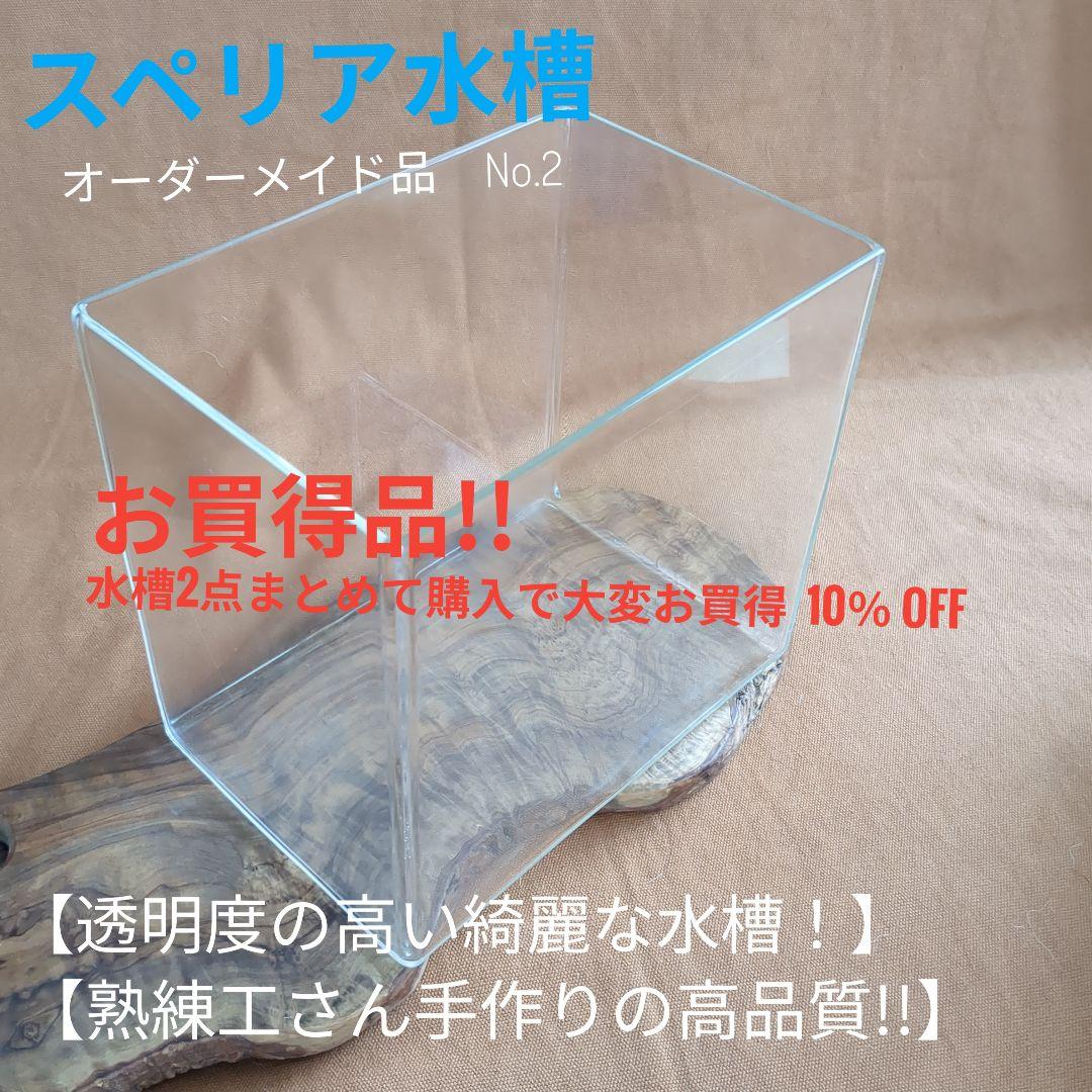 【高品質・透明度の高い　オーダーメイドのスペリア水槽　No.2 】