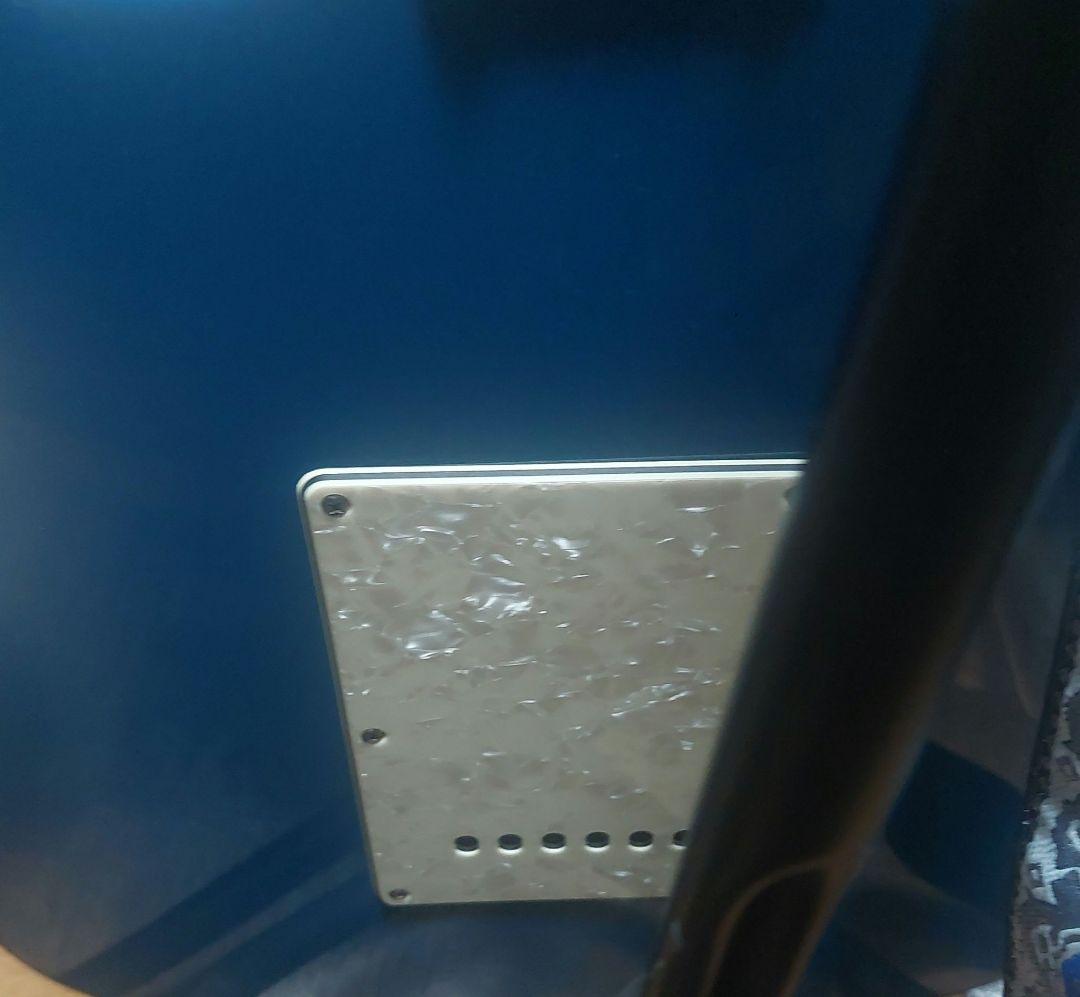 コンポーネントギター　ストラトキャスター　FISHMAN　ゴトーペグ