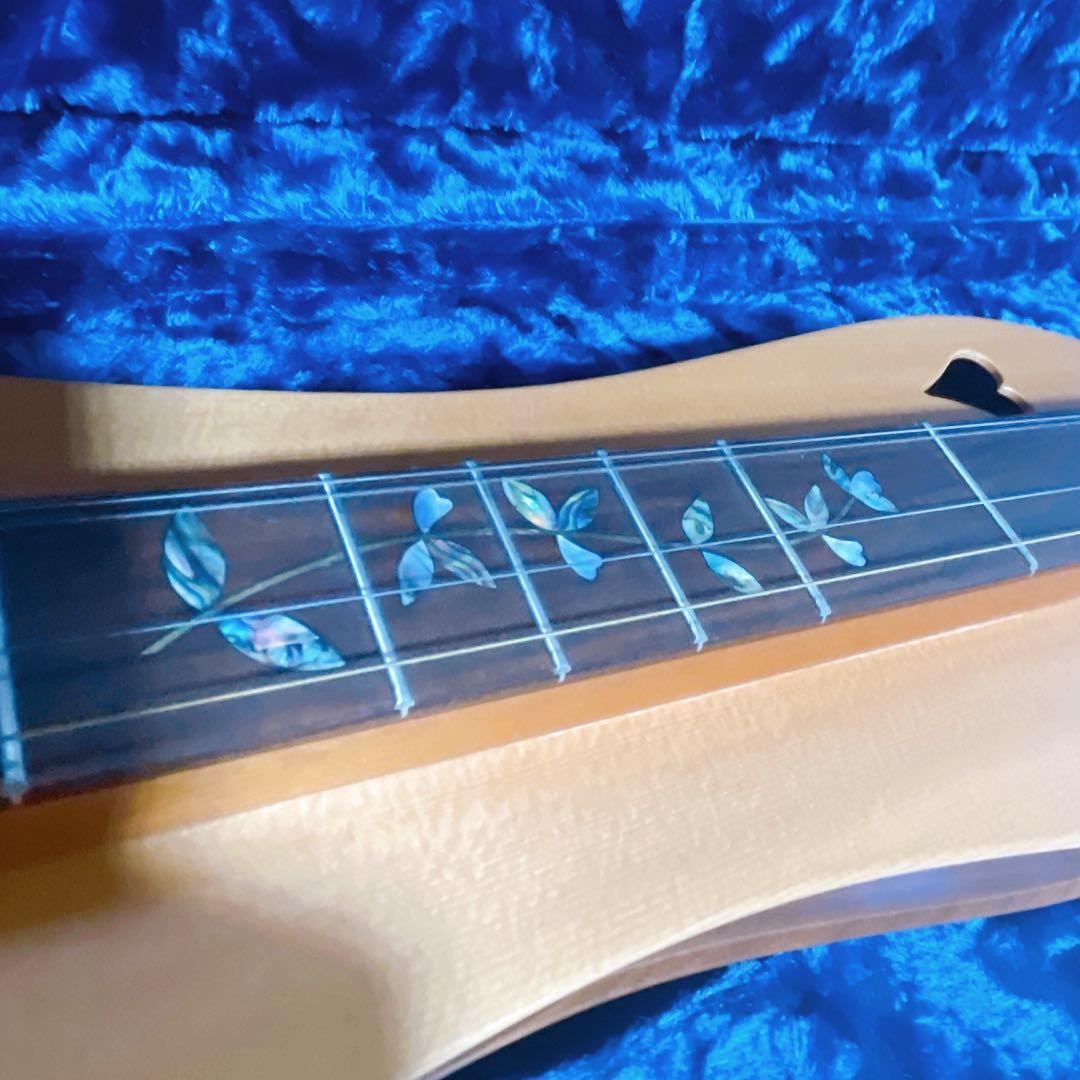 【美品】BLUE LION マウンテンダルシマー　JRW ハードケース付き