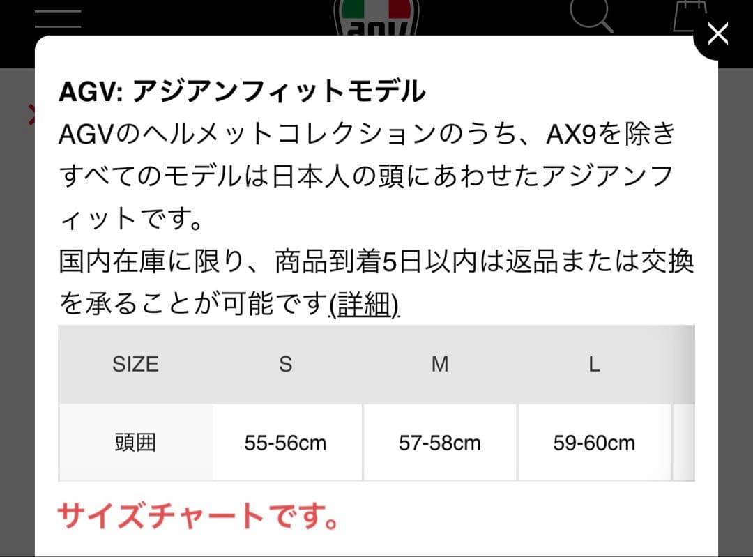 AGV PISTA GP RR *ヘルメット