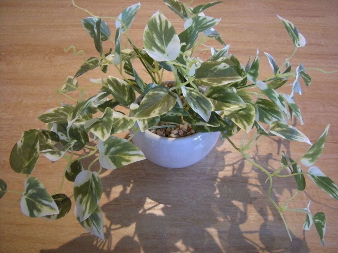 【✨平成レトロ✨】 Nikon COOLPIX P50 コンデジ ブラック