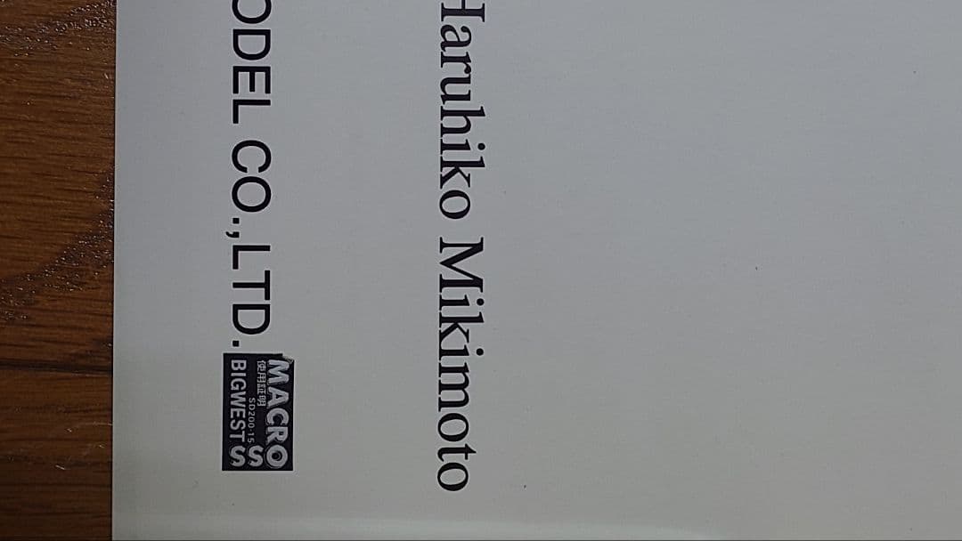 リン・ミンメイ等身大ポスター　マクロス 15周年記念