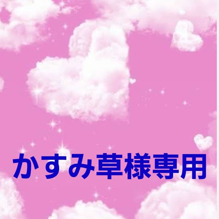 かすみ草◎Handmade L字型ポーチ❣️4点セット◎