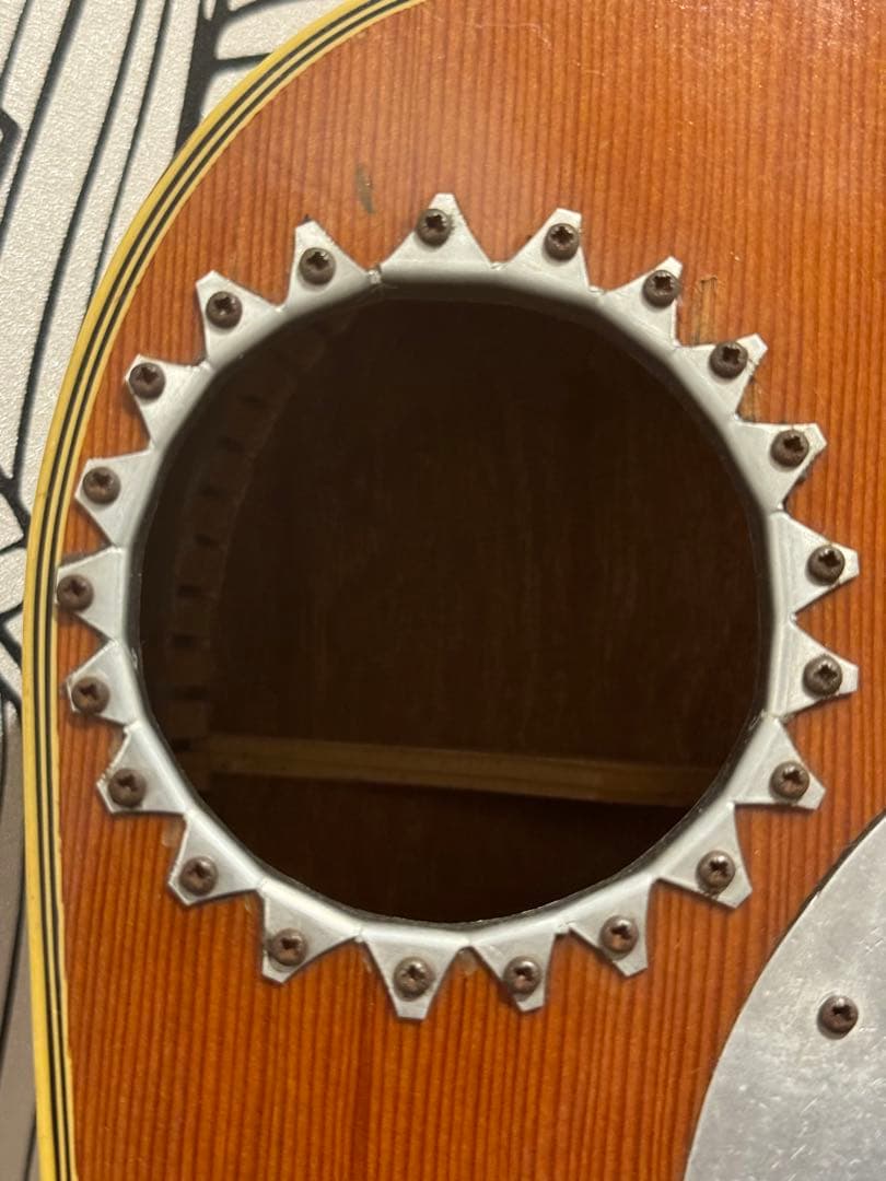 カスタマイズ アコースティックギター Eko Ranger XII