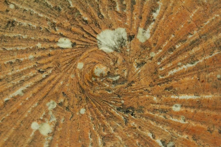 中国美術 青花 染付 人物紋 壷 高23.5cm(LC642)