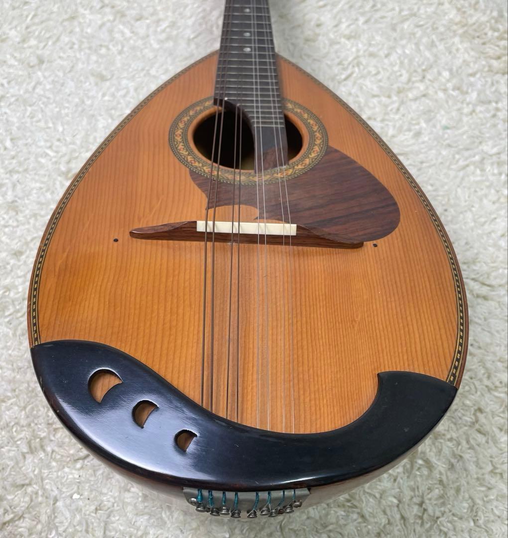Suzuki M-210 Mandolin スズキ マンドリン　ハードケース付き