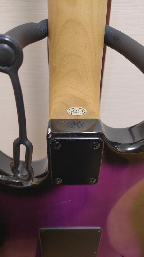 Selder エレキギター (8点セット)