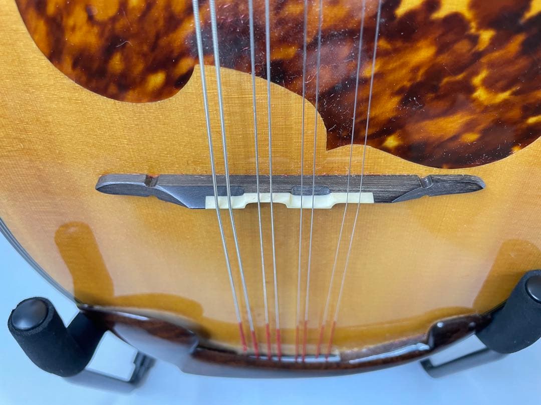 SUZUKI/スズキ クラシックマンドリン M-100