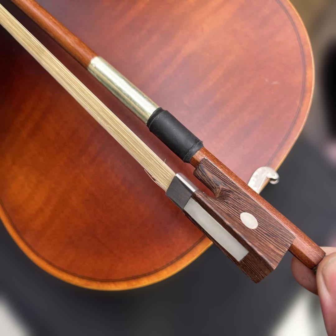 6553【美品】Hallstatt V-12 バイオリン 4/4 セット