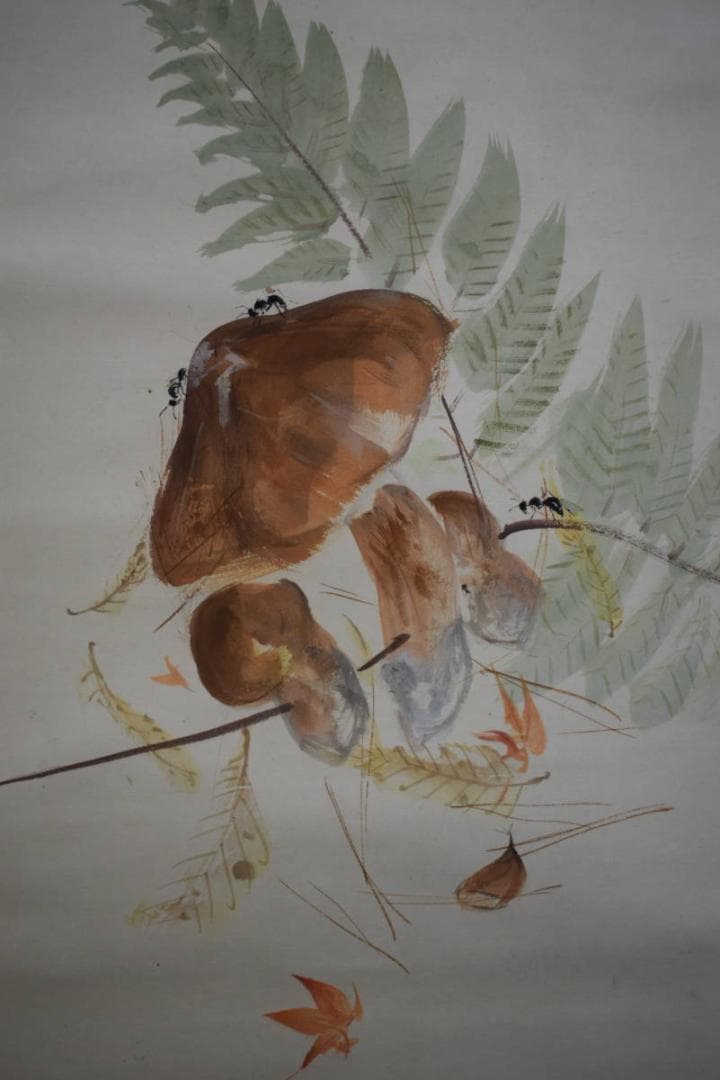 真作/山本紅雲/秋興/椎茸図/桐共箱付/布袋屋掛軸HI-187