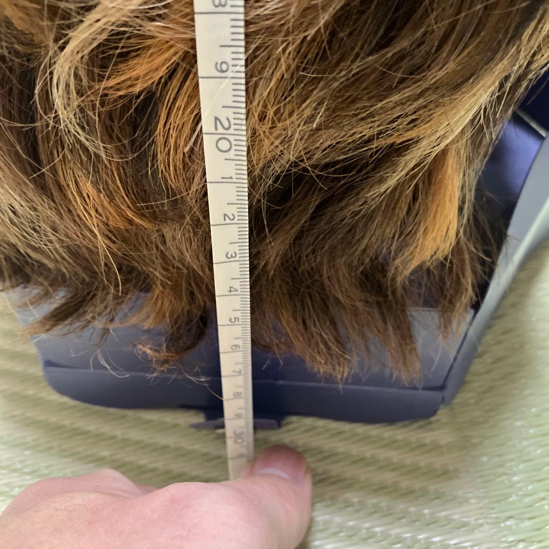 morefleur モアフルール ウィッグ 人毛混 ブラウン系 クリップ付き中古