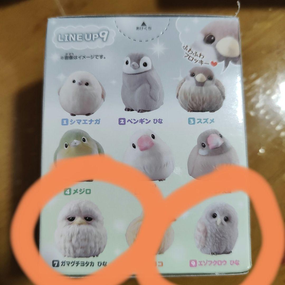 ガマグチヨタカ　エゾフクロウ　ひな　セットです！