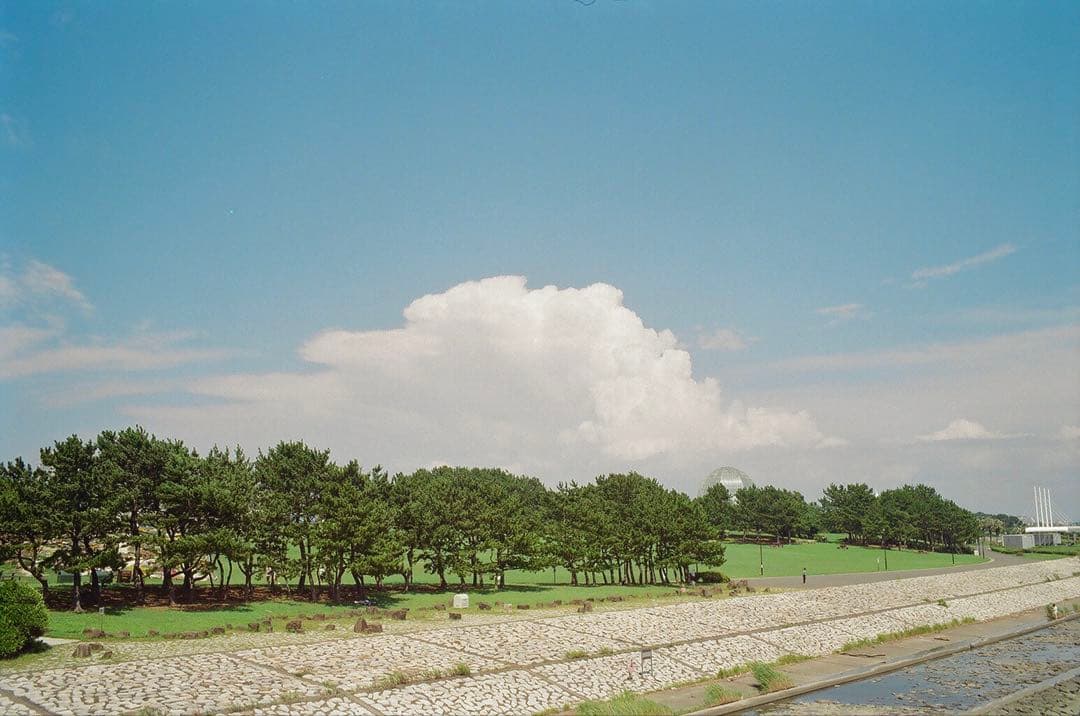 フィルムカメラ Leica M4-P