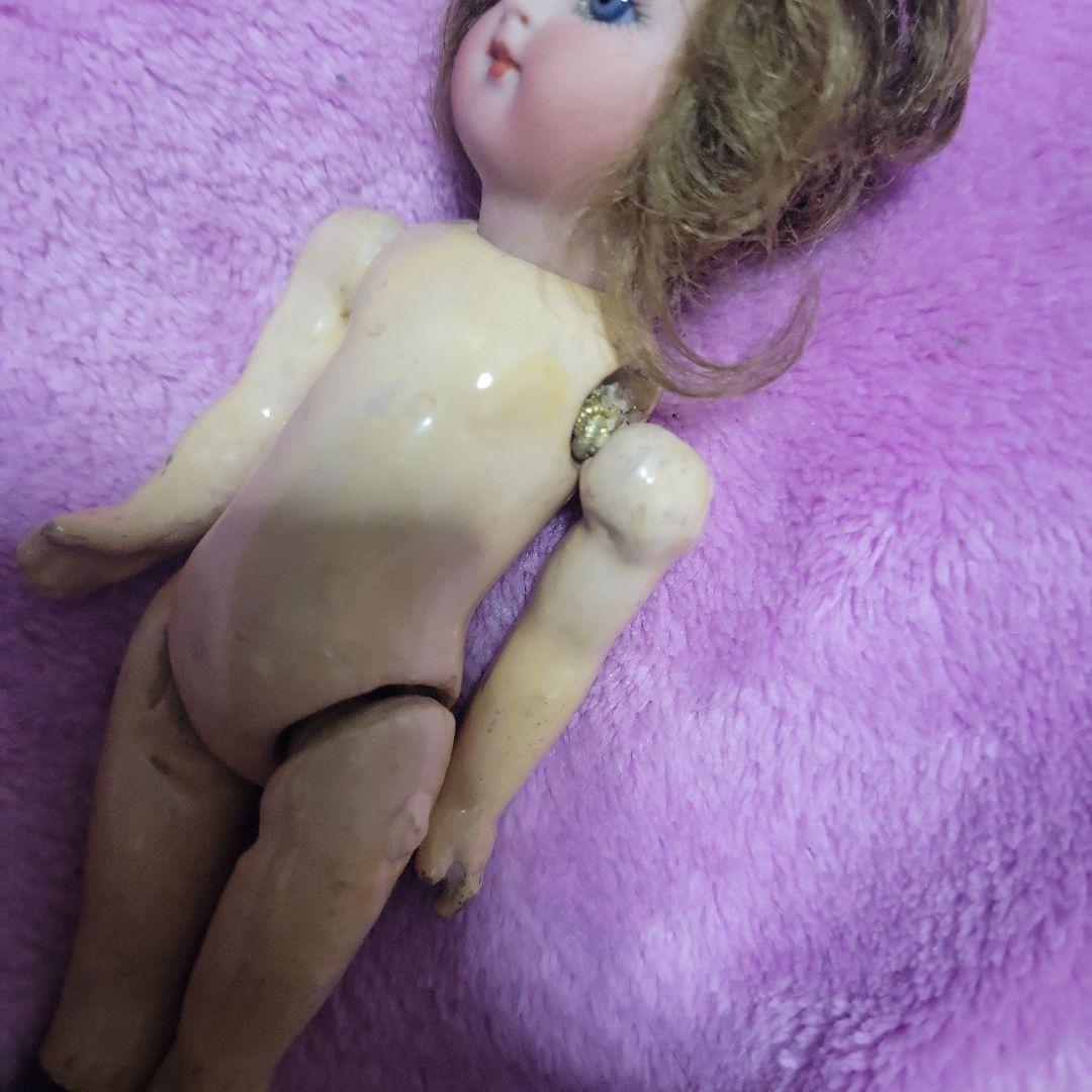 ※写真追加しました。ミニョネット シモンハルビック