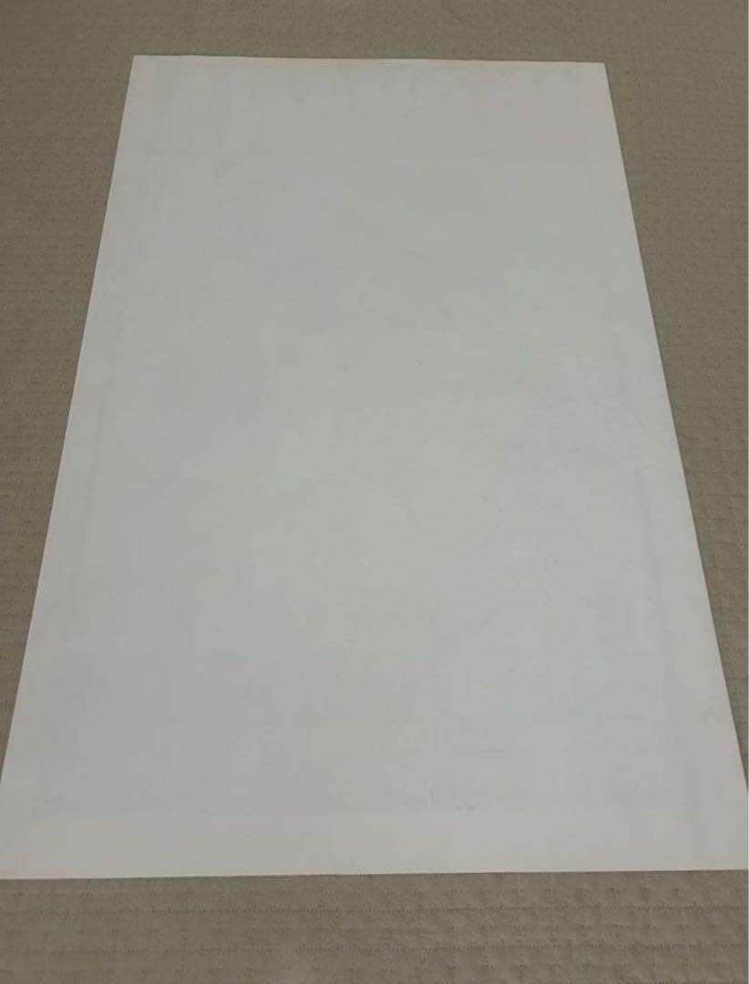 FRANK KOZIK フランク コジック　NIRVANA