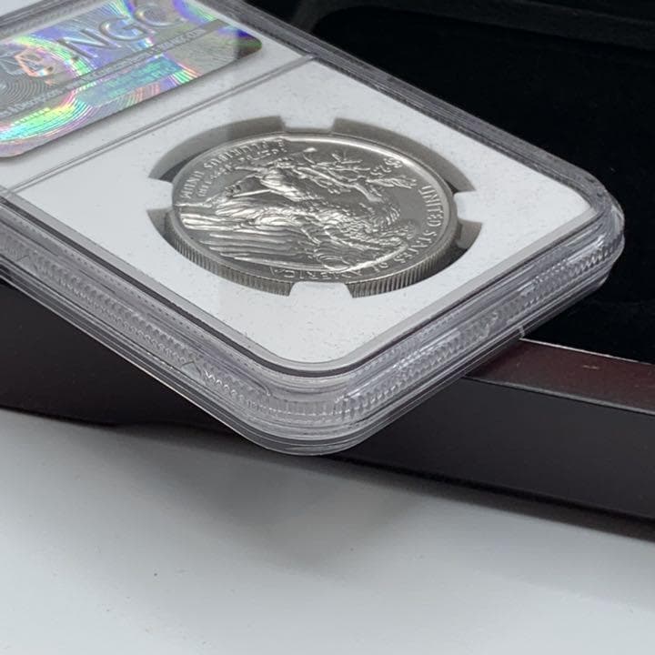 2017　パラジウム イーグル　モダン　NGC MS70ER　　E2