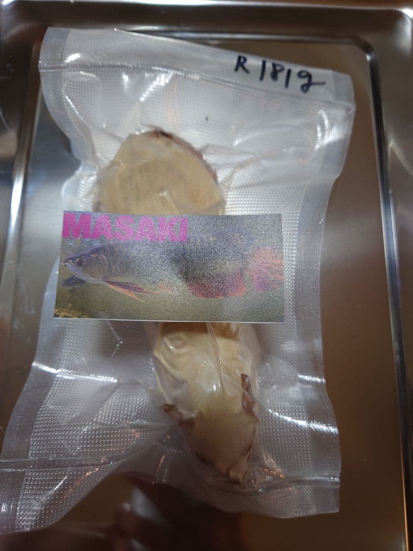 冷凍ラット 【真空パック冷凍】✨送料応援キャンペーン✨