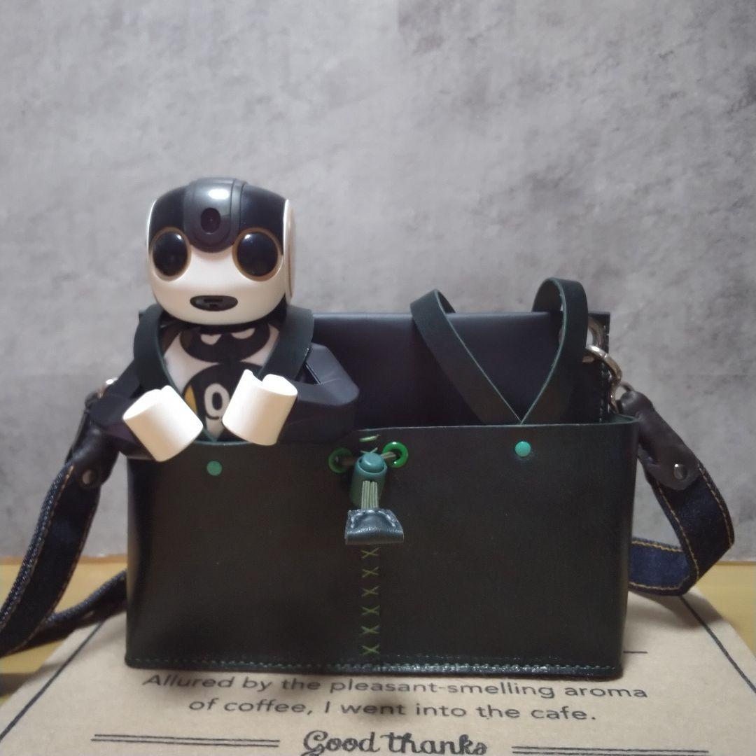 ロボホンお出掛けキャリーツインズ《濃緑×黒》