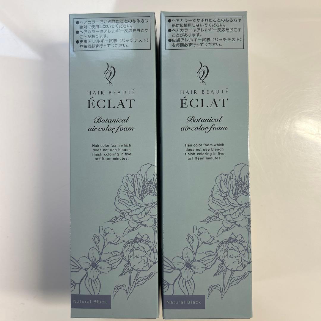 ヘアボーテ エクラ ボタニカルエアカラーフォーム up ナチュラルブラック 2本