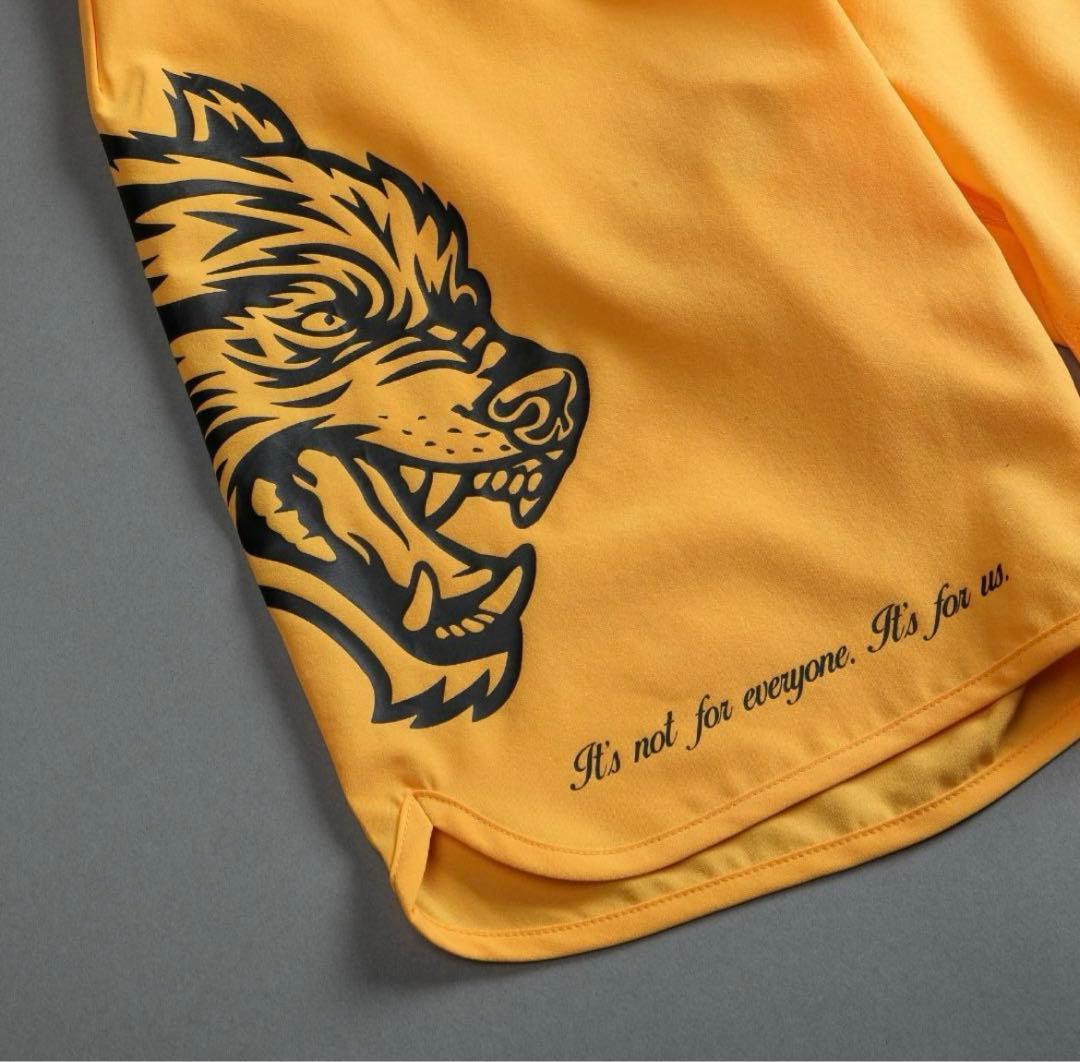 5908完売 darcsport　ダルクスポーツ　ステージショーツ　28ゴールド