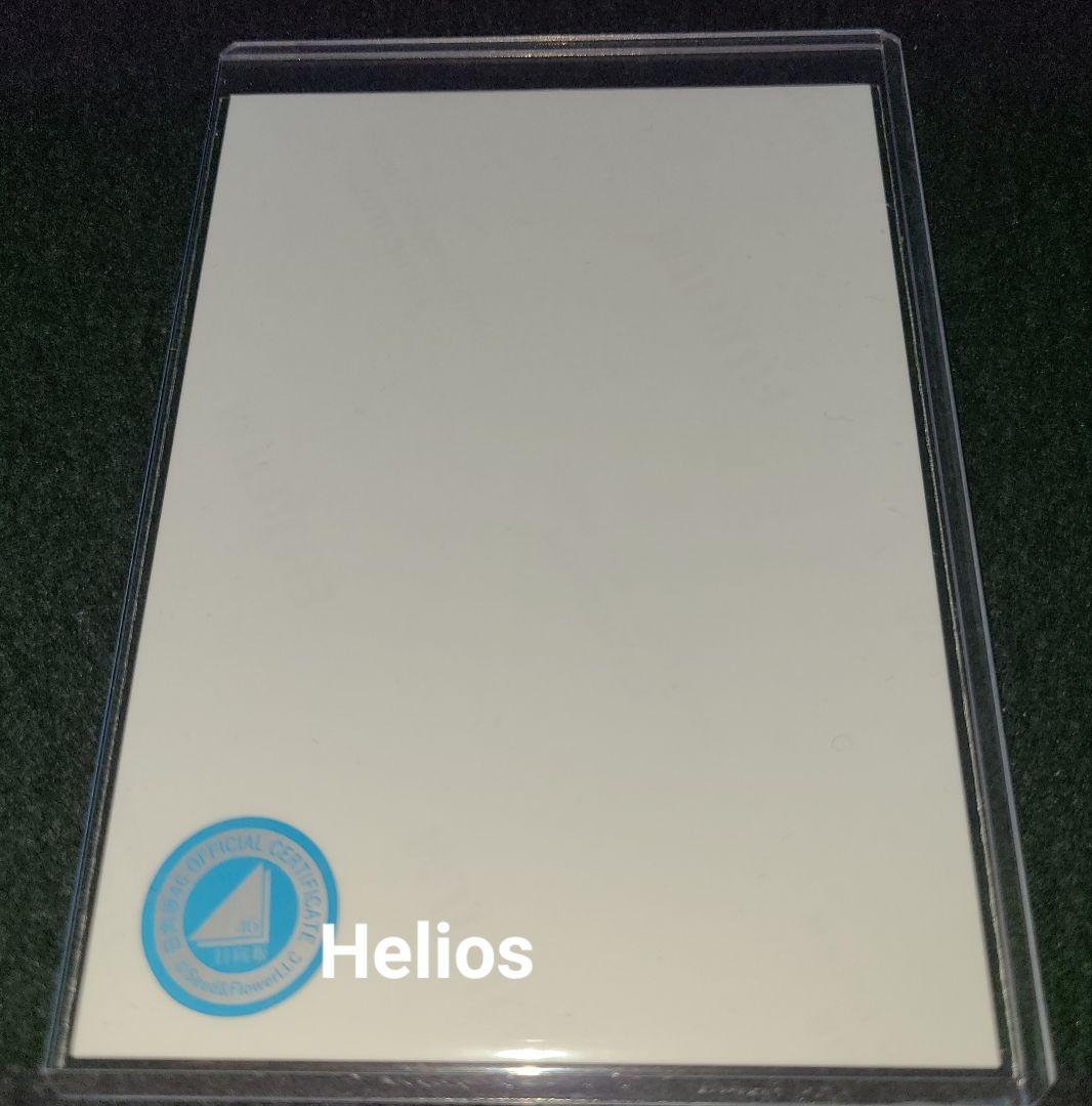 直筆 サイン 小坂菜緒 日向坂46 ネイビーサンタ 衣装 生写真